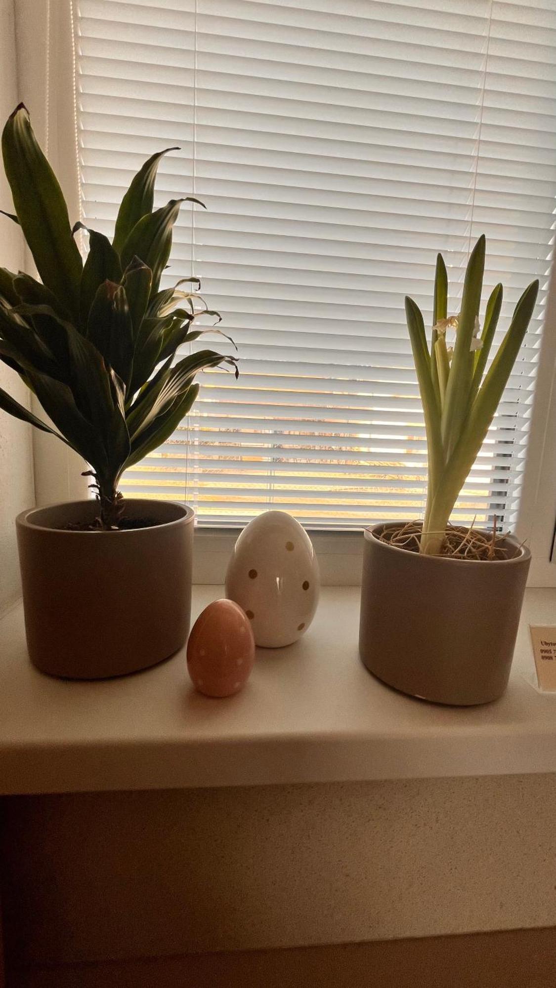 Rezidencia Pod Zamkom Bojnice Apartman Luna 外观 照片